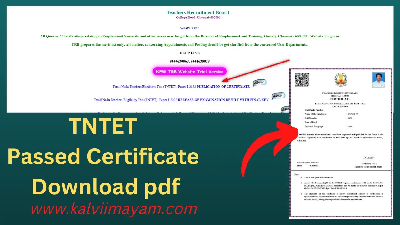 TNTET Passed Certificate Download pdf