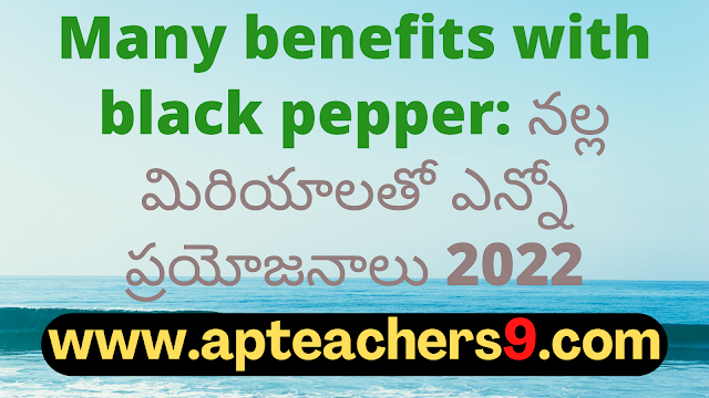 Many benefits with black pepper: నల్ల మిరియాలతో ఎన్నో ప్రయోజనాలు 2022  black pepper uses and benefits how much black pepper per day benefits of eating black pepper empty stomach black pepper with hot water benefits side effects of black pepper benefits of black pepper and honey pepper benefits turmeric with black pepper benefits how to protect eyes from mobile screen naturally how to protect eyes from mobile screen during online classes glasses to protect eyes from mobile screen how to protect eyes from mobile and computer 5 ways to protect your eyes best eye protection mobile phone glasses to protect eyes from mobile screen flipkart how to protect eyes from computer screen can you die from eating too many almonds how many is too many almonds i eat 100 almonds a day symptoms of eating too many almonds almond skin dangers how many almonds should i eat a day why are roasted almonds bad for you how many almonds to eat per day for good skin amla for skin whitening amla for skin pigmentation how to use amla for skin can i apply amla juice on face overnight how to use amla powder for skin whitening amla face pack for pigmentation how to make amla juice for skin best amla juice for skin best n95 mask for covid n95 mask with filter n95 mask reusable best mask for covid where to buy n95 mask n95 mask price 3m n95 mask kn95 vs n95 how many dates to eat per day dates benefits sexually dates benefits for sperm benefits of dates for men benefits of khajoor for skin dates benefits for skin is dates good for cold and cough benefits of dates for womens how to cook mulberry leaves mulberry benefits mulberry leaves benefits for hair mulberry benefits for skin when to harvest mulberry leaves mulberry leaf extract benefits mulberry leaf tea benefits mulberry fruit side effects are recovered persons with persistent positive test of covid-19 infectious to others? if someone in your house has covid will you get it do i still need to quarantine for 14 days if i was around someone who has covid-19? how long will you test positive for covid after recovery what do i do if i’ve been exposed to someone who tested positive for covid-19? how long does coronavirus last in your system how long should i stay in home isolation if i have the coronavirus disease? positive covid test after recovery how to make coriander water can we drink coriander water at night how to make coriander water for weight loss coriander seed water side effects how to make coriander seeds water how to make coriander seeds water for thyroid coriander water for thyroid coriander leaves boiled water benefits 10 points on harmful effects of plastic 5 harmful effects of plastic harmful effects of plastic on environment harmful effects of plastic on environment in points how is plastic harmful to humans harmful effects of plastic on environment pdf single-use plastic effects on environment brinjal benefits and side effects disadvantages of brinjal brinjal benefits for skin brinjal benefits ayurveda brinjal benefits for diabetes uses of brinjal green brinjal benefits brinjal vitamins 10 ways to keep your heart healthy 5 ways to keep your heart healthy 13 rules for a healthy heart 20 ways to keep your heart healthy how to keep heart-healthy and strong heart-healthy foods heart-healthy lifestyle healthy heart symptoms daily massage with mustard oil mustard oil disadvantages benefits of mustard oil for skin why mustard oil is not banned in india benefits of mustard oil massage on feet benefits of mustard oil in cooking mustard oil massage benefits mustard oil benefits for brain side effects of mint leaves lungs cleaning treatment benefits of drinking mint water in morning mint leaves steam for face lungs cleaning treatment for smokers benefits of mint leaves how to use ginger for lungs how to clean lungs in 3 days Carrot juice benefits in telugu 17 benefits of mustard seed 5 uses of mustard 10 uses of mustard how much mustard should i eat a day mustard seeds side effects benefits of chewing mustard seed dijon mustard health benefits is mustard good for your stomach Benefits of Vaseline on face Vaseline on face overnight before and after Vaseline petroleum jelly for skin whitening 100 uses for Vaseline Does Blue Seal Vaseline lighten the skin Vaseline uses for skin 19 unusual uses for Vaseline Effect of petroleum jelly on lips barley pests and diseases how to use barley for diabetes diseases of barley ppt how to use barley powder barley benefits and side effects barley disease control barley diseases integrated pest management of barley how to sleep better at night naturally good sleep habits food for good sleep tips on how to sleep through the night how to get a good night sleep and wake up refreshed how to sleep fast in 5 minutes how to sleep through the night without waking up how to sleep peacefully without thinking how to use turmeric to boost immune system turmeric immune booster recipe turmeric immune booster shot raw turmeric vs powder 10 serious side effects of turmeric raw turmeric powder best time to eat raw turmeric raw turmeric benefits for liver best antibiotic for cough and cold name of antibiotics for cough and cold best medicine for cold and cough best antibiotic for cold and cough for child best tablet for cough and cold in india best cold medicine for runny nose cold and cough medicine for adults best cold and flu medicine for adults moringa leaf powder benefits what happens when you drink moringa everyday? side effects of moringa list of 300 diseases moringa cures pdf how to use moringa leaves what sickness can moringa cure how long does it take for moringa to start working can moringa cure chest pain how to use aloe vera to lose weight rubbing aloe vera on stomach how to prepare aloe vera juice for weight loss best time to drink aloe vera juice for weight loss how to use forever aloe vera gel for weight loss aloe vera juice weight loss stories how much aloe vera juice to drink daily for weight loss benefits of eating oranges everyday benefits of eating oranges for skin benefits of eating orange at night orange benefits and side effects benefits of eating orange in empty stomach orange benefits for men how many oranges a day to lose weight how many oranges should i eat a day is orthostatic hypotension dangerous orthostatic hypotension symptoms causes of orthostatic hypotension orthostatic hypotension in 20s orthostatic hypotension treatment orthostatic hypotension test how to prevent orthostatic hypotension orthostatic hypotension treatment in elderly what will happen if we drink dirty water for class 1 what are the diseases associated with water? which water is safe for drinking dangers of tap water 5 dangers of drinking bad water what happens if you drink contaminated water what to do if you drink contaminated water 5 ways to make water safe for drinking how long before bed should you turn off electronics side effects of using phone at night does screen time affect sleep in adults sleeping with phone near head why you shouldn't use your phone before bed screen time before bed research adults screen time doesn't affect sleep using phone at night bad for eyes how many tulsi leaves should be eaten in a day how to cure high blood pressure in 3 minutes tulsi leaves side effects tricks to lower blood pressure instantly what happens if we eat tulsi leaves daily high blood pressure foods to avoid what to drink to lower blood pressure quickly how to consume tulsi leaves why am i sleeping too much all of a sudden i sleep 12 hours a day what is wrong with me oversleeping symptoms causes of oversleeping how to recover from sleeping too much oversleeping effects is 9 hours of sleep too much why am i suddenly sleeping for 10 hours side effects of eating raw curry leaves how many curry leaves to eat per day benefits of curry leaves for hair curry leaves health benefits benefits of curry leaves boiled water curry leaves benefits and side effects how to eat curry leaves curry leaves benefits for uterus side effects of drinking cold water symptoms of drinking too much water does drinking cold water cause cold drinking cold water in the morning on an empty stomach does drinking cold water increase weight disadvantages of drinking cold water in the morning is drinking cold water bad for your heart effect of cold water on bones food for strong bones and muscles indian food for strong bones and muscles how to increase bone strength naturally list five foods you can eat to build strong, healthy bones. vitamins for strong bones and joints medicine for strong bones and joints calcium-rich foods for bones 2 factors that keep bones healthy food for strong bones and muscles indian food for strong bones and muscles how to increase bone strength naturally list five foods you can eat to build strong, healthy bones. vitamins for strong bones and joints medicine for strong bones and joints calcium-rich foods for bones 2 factors that keep bones healthy Top 10 health benefits of dates Benefits of dates for womens Health benefits of dates Dates benefits for sperm How many dates to eat per day Dry dates benefits for male Soaked dates benefits Dry dates benefits for female silver water benefits how much colloidal silver to purify water silver in water purification silver in drinking water health benefit of drinking hard water what is silver water silver ion water purifier colloidal silver poisoning how i cured my lower back pain at home how to relieve back pain fast how to cure back pain fast at home back pain home remedies drink how to cure upper back pain fast at home female lower back pain treatment what is the best medicine for lower back pain? one stretch to relieve back pain side effects of drinking salt water why is drinking salt water harmful benefits of drinking warm water with salt in the morning benefits of drinking salt water salt water flush didn't make me poop himalayan salt detox side effects when to eat after salt water flush 10 uses of salt water side effects of carbonated drinks harmful effects of soft drinks wikipedia disadvantages of soft drinks in points drinking too much pepsi symptoms drinking too much coke side effects effects of carbonated drinks on the body side effects of drinking coca-cola everyday harmful effects of soft drinks on human body pdf what happens if you don't breastfeed your baby baby feeding mother milk breastfeeding mother 14 risks of formula feeding is bottle feeding safe for newborn baby negative effects of formula feeding are formula-fed babies healthy breastfeeding vs bottle feeding breast milk what is the best cream for deep wrinkles around the mouth best anti aging cream 2021 scientifically proven anti aging products best anti aging cream for 40s what is the best wrinkle cream on the market? best anti aging cream for 30s best treatment for wrinkles on face best anti aging skin care products for 50s carbonated soft drinks market demand for soft drinks trends in carbonated soft drink industry carbonated soft drink market in india cold drink sales statistics soft drink sales 2021 soda industry market share of soft drinks in india 2021 how much tomato to eat per day 10 benefits of tomato eating tomato everyday benefits benefits of eating raw tomatoes in the morning disadvantages of eating tomatoes why are tomatoes bad for your gut eating tomato everyday for skin disadvantages of eating raw tomatoes green peas benefits for skin green peas benefits for weight loss green peas side effects green peas benefits for hair benefits of peas and carrots green peas calories green peas protein per 100g dry peas benefits benefits of walnuts for females benefits of walnuts for skin benefits of walnuts for male 15 proven health benefits of walnuts benefits of almonds how many walnuts to eat per day walnut benefits for sperm soaked walnuts benefits 5 health benefits of walking barefoot spiritual benefits of walking barefoot dangers of walking barefoot benefits of walking barefoot at home disadvantages of walking barefoot is walking barefoot at home bad benefits of walking barefoot on grass in the morning walking barefoot meaning how to cure asthma forever how to prevent asthma how to prevent asthma attacks at night asthma prevention diet what causes asthma how to stop asthmatic cough what is the best treatment for asthma how to avoid asthma triggers at home amaranth leaves side effects thotakura juice benefits thotakura benefits in telugu amaranth benefits amaranth benefits for skin amaranth benefits for hair red amaranth leaves side effects amaranth leaves iron content skin diseases list with pictures 5 ways of preventing skin diseases 10 skin diseases blood test for hair loss female symptoms of skin diseases common skin diseases hair loss after covid treatment and vitamins what do dermatologists prescribe for hair loss pomegranate benefits for female benefits of pomegranate for skin benefits of pomegranate seeds pomegranate benefits for men benefits of pomegranate juice how much pomegranate juice per day pomegranate juice side effects benefits of pomegranate leaves simple health tips 10 tips for good health 100 health tips natural health tips health tips for adults health tips 2021 health tips of the day simple health tips for everyday living healthy tips simple health tips for students 100 simple health tips healthy lifestyle tips health tip of the week simple health tips for everyone simple health tips for everyday living 10 tips for a healthy lifestyle pdf 20 ways to stay healthy 5-minute health tips 100 health tips in hindi simple health tips for everyone 100 health tips pdf 100 health tips in tamil 5 tips to improve health natural health tips for weight loss natural health tips in hindi simple health tips for everyday living 100 health tips in hindi health in hindi daily health tips 10 tips for good health how to keep healthy body 20 health tips for 2021 health tips 2022 mental health tips 2021 heart health tips 2021 health and wellness tips 2021 health tips of the day for students fun health tips of the day mental health tips of the day healthy lifestyle tips for students health tips for women simple health tips 10 tips for good health 100 health tips healthy tips in hindi natural health tips health tips for students simple health tips for everyday living health tip of the week healthy tips for school students health tips for primary school students health tips for students pdf daily health tips for school students health tips for students during online classes mental health tips for students simple health tips for everyone health tips for covid-19 healthy lifestyle tips for students 10 tips for a healthy lifestyle healthy lifestyle facts healthy tips 10 tips for good health simple health tips health tips 2021 health tips natural health tips 100 health tips health tips for students simple health tips for everyday living 6 basic rules for good health 10 ways to keep your body healthy health tips for students simple health tips for everyone 5 steps to a healthy lifestyle maintaining a healthy lifestyle healthy lifestyle guidelines includes simple health tips for everyday living healthy lifestyle tips for students healthy lifestyle examples 10 ways to stay healthy 100 health tips 5 ways to stay healthy 10 ways to stay healthy and fit simple health tips simple health tips for everyday living health tips for students health tips in hindi beauty tips health tips for women health tips bangla health tips for young ladies 10 best health tips female reproductive health tips women's day health tips health tips in kannada women's health tips for heart, mind and body women's health tips for losing weight healthy woman body beauty tips at home beauty tips natural beauty tips for face beauty tips for girls beauty tips for skin beauty tips of the day top 10 beauty tips beauty tips hindi health tips for school students health tips for students during exams five ways of maintaining good health 10 ways to stay healthy at home ways to keep fit and healthy 6 tips to stay fit and healthy how to stay fit and healthy at home 20 ways to stay healthy ways to keep fit and healthy essay 5 ways to stay healthy essay 10 ways to stay healthy at home write five points to keep yourself healthy 5 ways to stay healthy during quarantine 10 tips for a healthy lifestyle healthy lifestyle essay unhealthy lifestyle examples 5 steps to a healthy lifestyle healthy lifestyle article for students talk about healthy lifestyle healthy lifestyle benefits healthy lifestyle for students in school healthy tips for school students importance of healthy lifestyle for students health tips for students during online classes health tips for students pdf health and wellness for students healthy lifestyle for students essay healthy lifestyle article for students 10 ways to stay healthy and fit ways to keep fit and healthy essay 6 tips to stay fit and healthy how to stay fit and healthy at home what are the best ways for students to stay fit and healthy how to keep body fit and strong on the basis of the picture given below, describe how we can keep ourselves fit and healthy how to be fit in 1 week write 10 rules for good health golden rules for good health health rules most important things you can do for your health how to keep your body healthy and strong five ways of maintaining good health mental health tips 2022 top 10 tips to maintain your mental health mental health tips for students self-care tips for mental health mental health 2022 fun activities to improve mental health 10 ways to prevent mental illness how to be mentally healthy and happy world heart day theme 2021 world heart day 2021 health tips news world heart day wikipedia world heart day 2020 world heart day pictures world heart day theme 2020 happy heart day 5 ways to prevent covid-19 best food for covid-19 recovery 10 ways to prevent covid-19 covid-19 health and safety protocols precautions to be taken for covid-19 covid-19 diet plan pdf safety measures after covid-19 precautions for covid-19 patient at home how to keep reproductive system healthy 10 ways in keeping the reproductive organs clean and healthy why is it important to keep your reproductive system healthy how to take care of your reproductive system male what are the proper ways of taking care of the female reproductive organs male ways of taking care of reproductive system ppt taking care of reproductive system grade 5 prevention of reproductive system diseases proper ways of taking care of the reproductive organs ways of taking care of reproductive system ppt how to take care of reproductive system male what are the proper ways of taking care of the female reproductive organs care of male and female reproductive organs? why is it important to take care of the reproductive organs the following are health habits to keep the reproductive organs healthy which one is care of male and female reproductive organs? what are the proper ways of taking care of the female reproductive organs ways of taking care of reproductive system ppt ways to take care of your reproductive system why is it important to take care of the reproductive organs taking care of reproductive system grade 5 how to take care of your reproductive system poster what are the proper ways of taking care of the female reproductive organs taking care of reproductive system grade 5 what are the proper ways of taking care of the male reproductive organs care of male and female reproductive organs? female reproductive system - ppt presentation female reproductive system ppt pdf reproductive system ppt anatomy and physiology reproductive system ppt grade 5 talk about healthy lifestyle cue card importance of healthy lifestyle importance of healthy lifestyle speech what is healthy lifestyle essay healthy lifestyle habits my healthy lifestyle healthy lifestyle essay 100 words healthy lifestyle short essay healthy lifestyle essay 150 words healthy lifestyle essay pdf benefits of a healthy lifestyle essay healthy lifestyle essay 500 words healthy lifestyle essay 250 words disadvantages of jaggery 33 health benefits of jaggery how much jaggery to eat everyday benefits of jaggery water vitamins in jaggery dark brown jaggery benefits jaggery benefits for sperm jaggery benefits for male