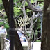 ฟังเพลง เนื้อเพลง เพลงแค่อยากจะถาม – ม่อน วง pure (เพลงประกอบละคร สามใบไม่เถา) 