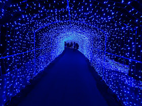 Sagamiko illuminations
