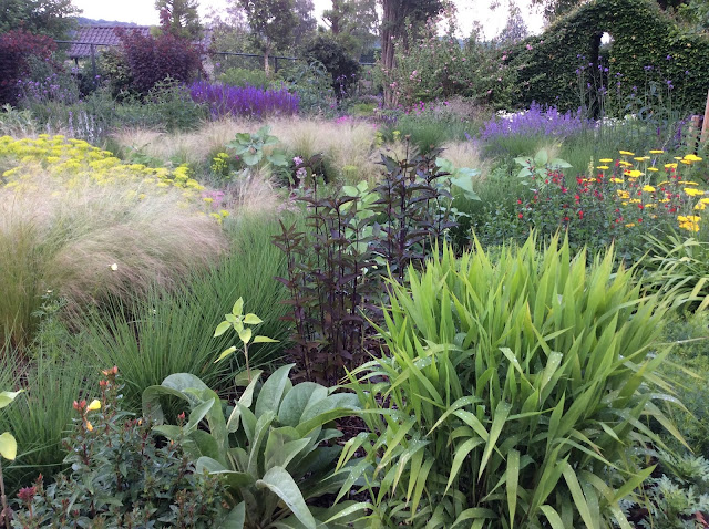 Tuin met siergrassen zoals Stipa tenuissima, Chasmantium latifolium en Molinia caerulea.