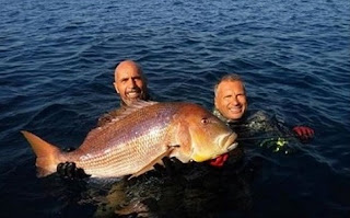 παγκόσμιο ρεκόρ