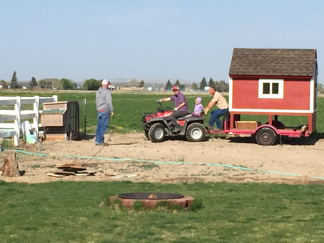 Moving the small building with a 4-wheeler and trailer