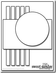 SSSC295