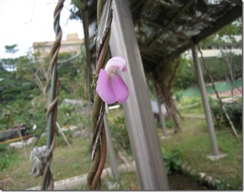 clip_image002[6]