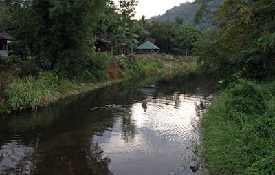 River near the Khao Sok national park entrance