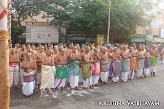 Sesha vahanam,Day 02,Brahmotsavam, Thiruvallikeni, Sri PArthasarathy Perumal, Temple, 2017, Video, Divya Prabhandam,Utsavam,