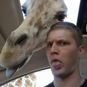 Funny animals taking selfies with humans (35 pics), animal selfies, funny animal pics, animal selfy