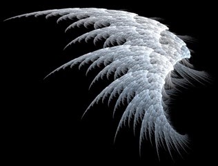 White Angel Wings
