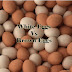 What is the Difference between White Eggs and Brown Eggs? | White Eggs Vs Brown Eggs