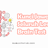 Kunci Jawaban Brain Test Lengkap Dari Level 1-270