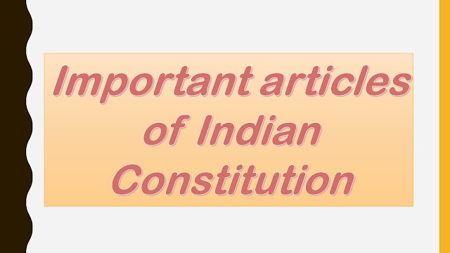 Indian constitution articles
