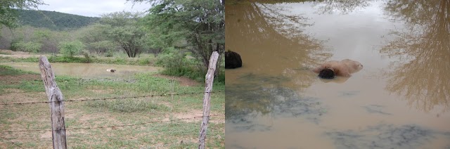 Corpo de mulher é encontrado boiando em barragem no município de Taquaritinga do Norte