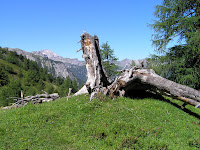 Entre la Südwienerhütte et le Wildsee