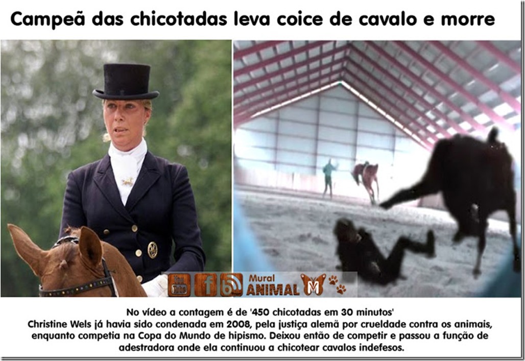 campea_chicotadas