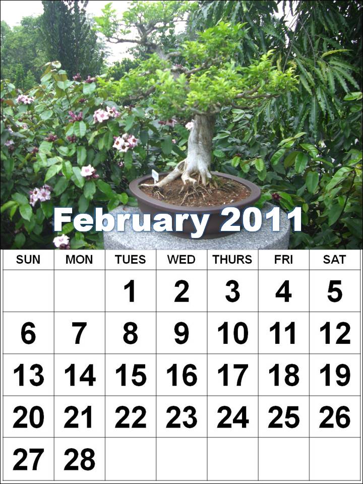 2011 calendar printable february. Blank February 2011 Calendar