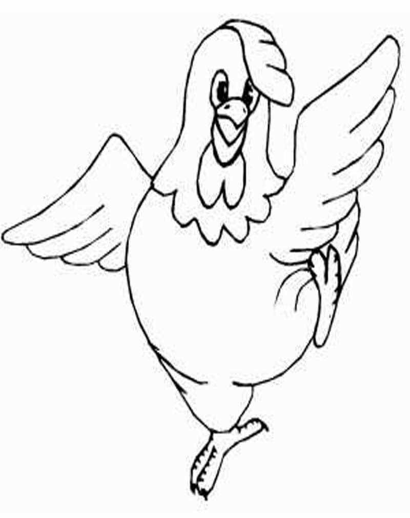  Gambar  Kartun  Ayam  Goreng Gambar  Gokil