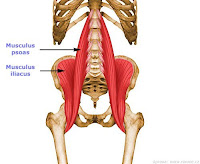 Ejercicios bioenergéticos