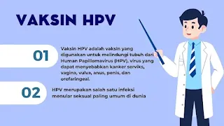 apa itu HPV