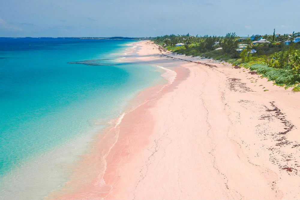 Pink Sands Beach Bahamas