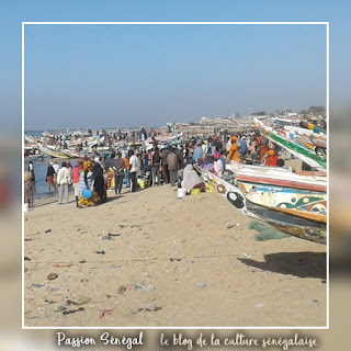 Port de pêche et Marché aux poissons  Mbour Petite Côte - Voyage Passion Sénégal