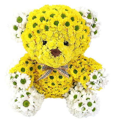 cute wallpapers of teddy bears. at those Cute Teddy Bears,