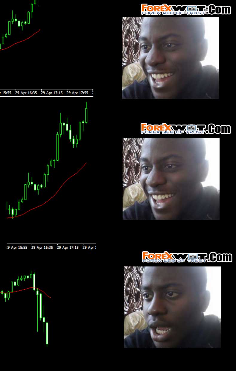 Jokes About Traders And Funny Forex Pictures About Trading Forex - 