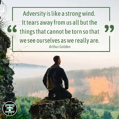 best-quotes-for-resilience-adversity: "Adversity is like a strong wind. It tears away from us all but the things that cannot be torn so that we see ourselves as we really are." - Arthur Golden