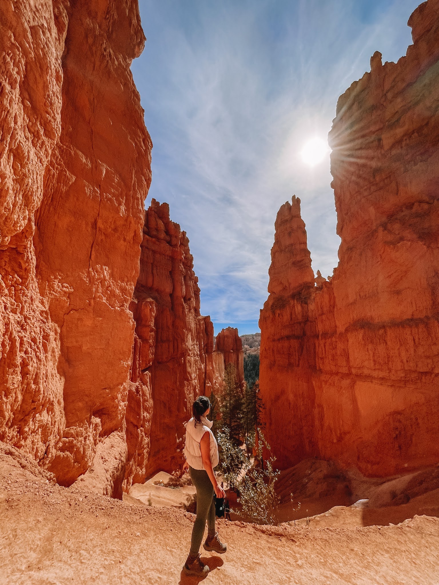 navajo loop