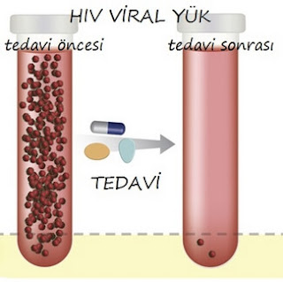 hiv viral yük testi