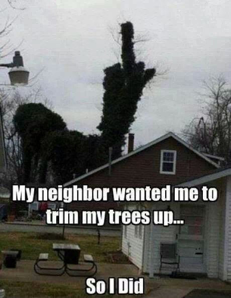 My neighbor wanted ..