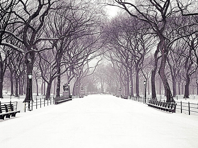 Statuary Walk, Central Park, New York City, New York