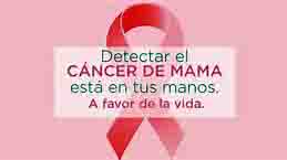 <Img src ="Emblema de lucha contra el cáncer de mama.jpg" width = "462" height "320" border = "0" alt = "Foto del emblema del cáncer de mama">