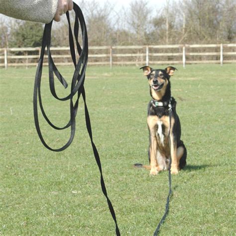 Dog on a long lead