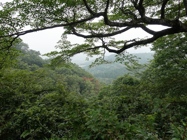 香取の大休峠に向かう山道を降ります