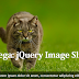 Tutorial # 28 - Omega: jQuery Image Slider Plugin For Blogger