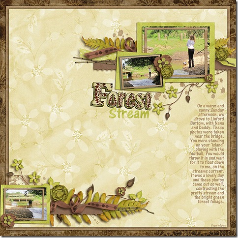 SnS-ForestStream