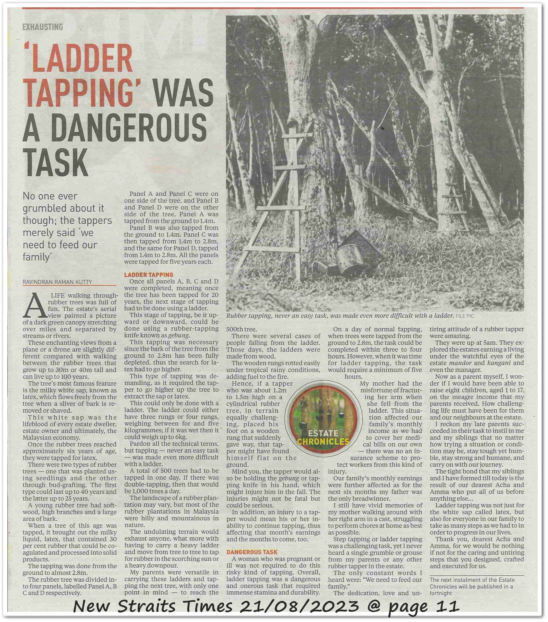 'Ladder tapping' was a dangerous task ; No one ever grumbled about it though, the tappers merely said 'we need to feed our family' - Keratan akhbar New Straits Times 21 August 2023