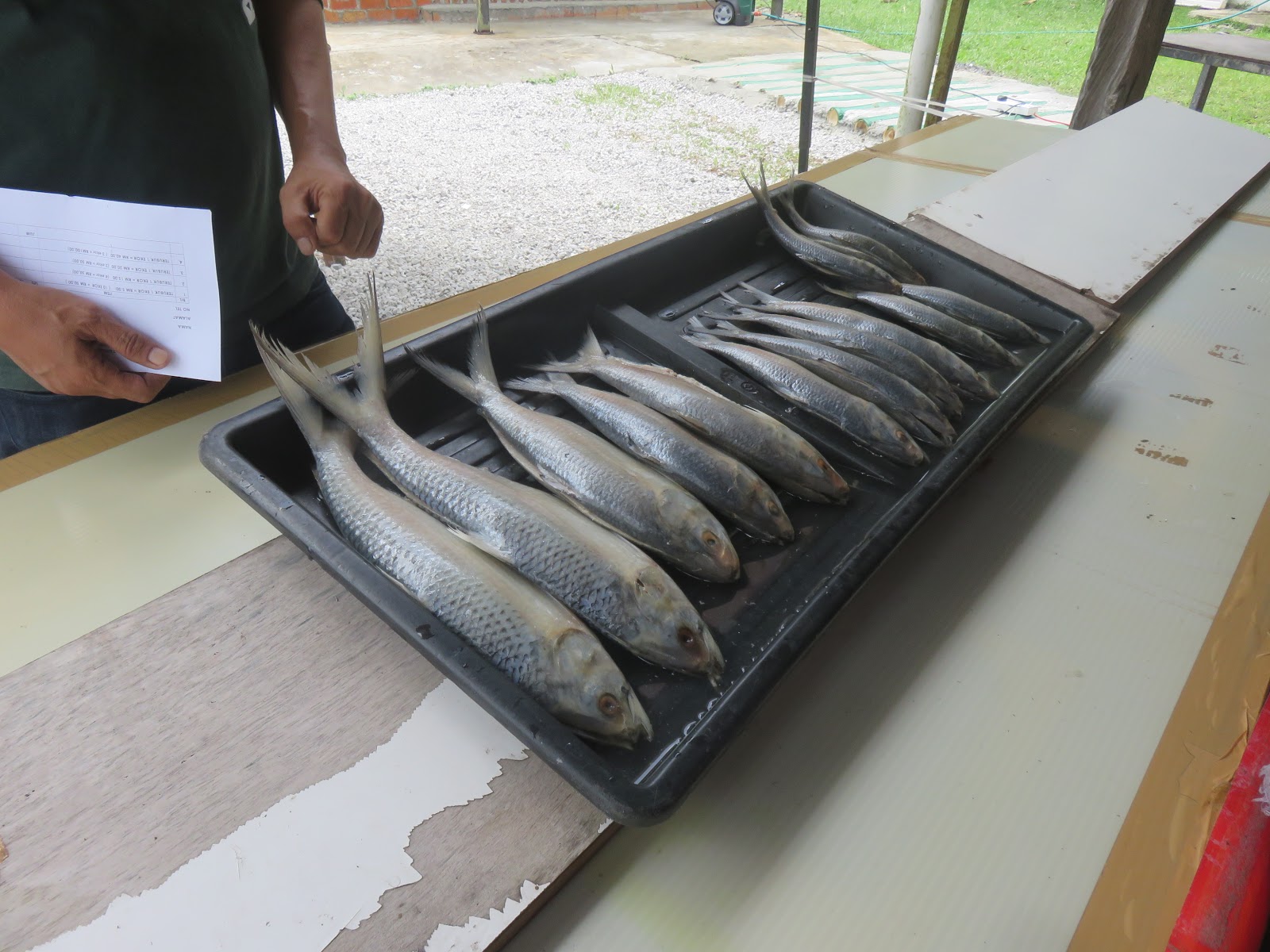 Kedai Kek Lapis Warisan Kuching Sarawak