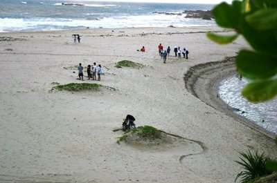 desa wisata nglinggo jogja