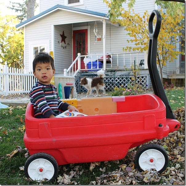 "I'm staying the the wagon where it's safe"