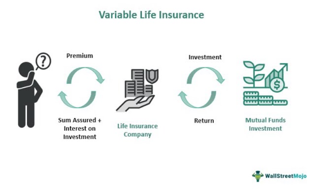 Unleashing the Potential of Variable Life Insurance: A Dynamic Approach to Protection and Investment Growth