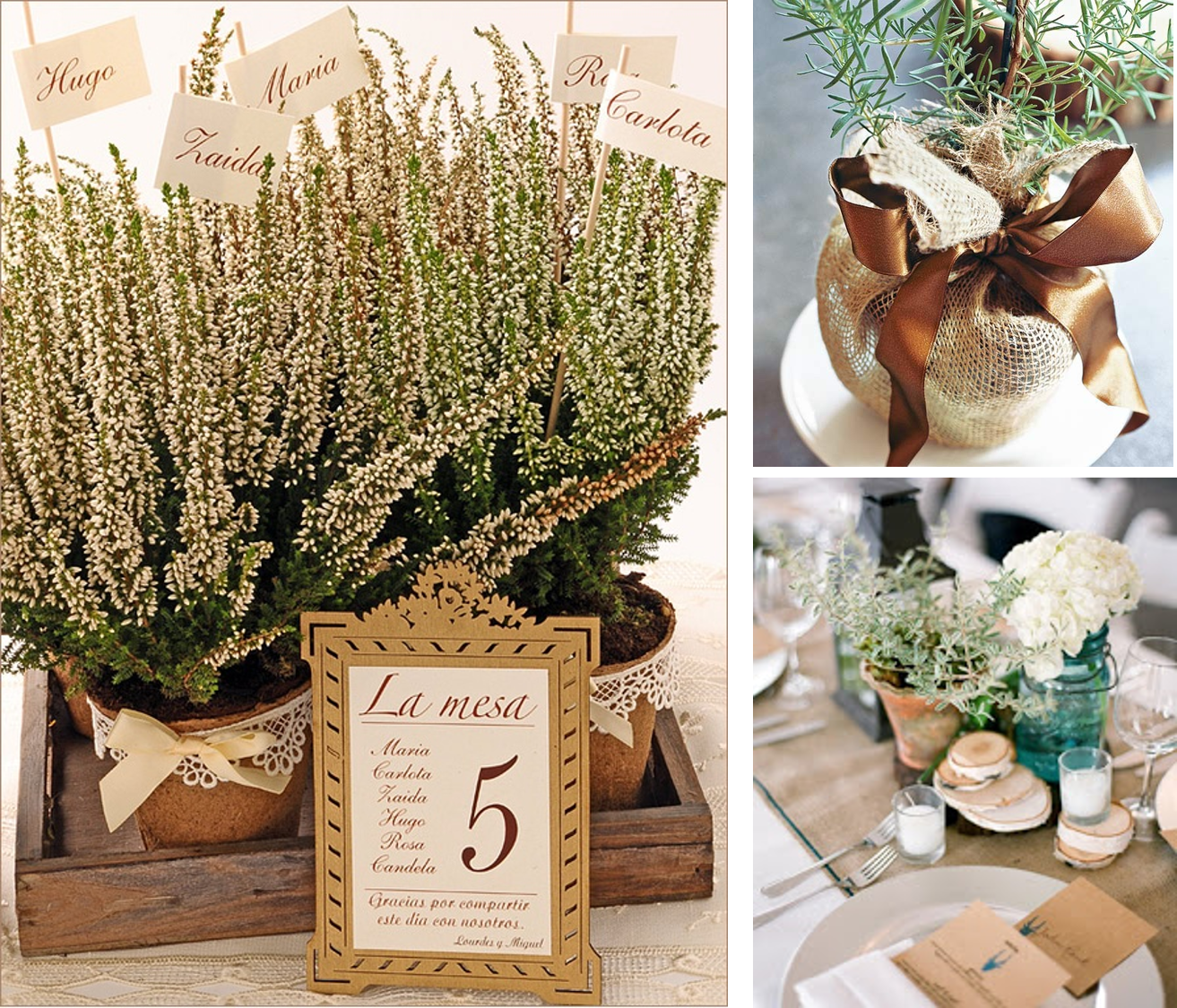 Ideas para decorar tu boda con plantas aromáticas