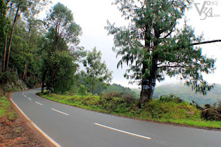 Ooty-Kattapettu-Kotagiri Highway