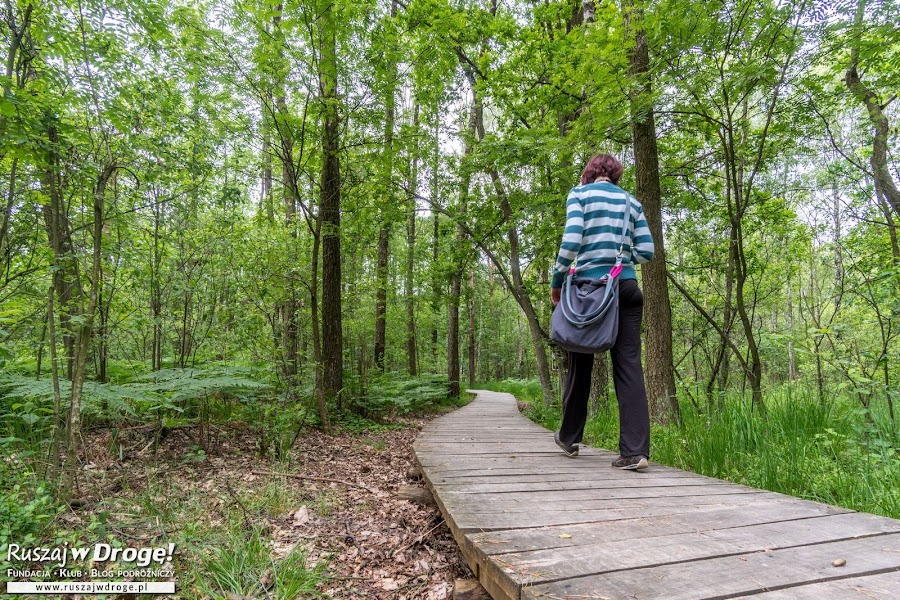 Ścieżka Dąb Dominik - Poleski Park Narodowy