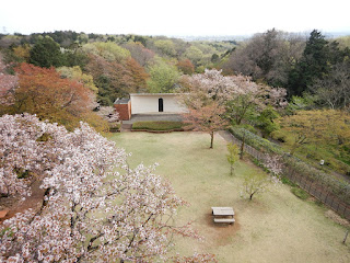 六道山公園展望台、萌黄色が映えてます！！