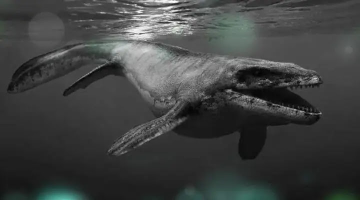 Top 10 Biggest Sea Dinosaurs that ever lived on Earth