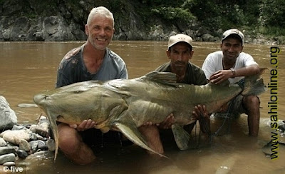   Kali ini aku akan mencoba mencari ikan lele terbesar di dunia yang pernah ditangkap Boyolali - vanilabluebewy -  kumpulan ikan lele terbesar di dunia - dijamin menciptakan anda tercengang