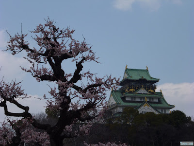 大阪城梅林