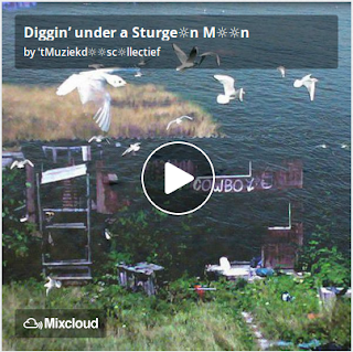 https://www.mixcloud.com/straatsalaat/diggin-under-a-sturgen-mn/